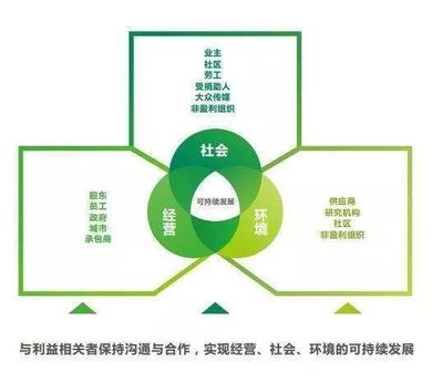 探討企業(yè)社會責(zé)任項目對商業(yè)品牌和信譽建設(shè)的促進